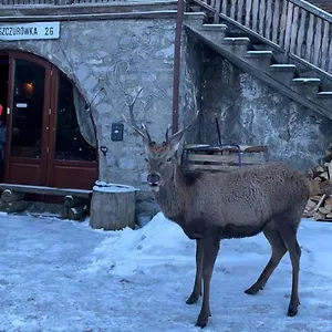 Jaszczurówka 26 Zakopane